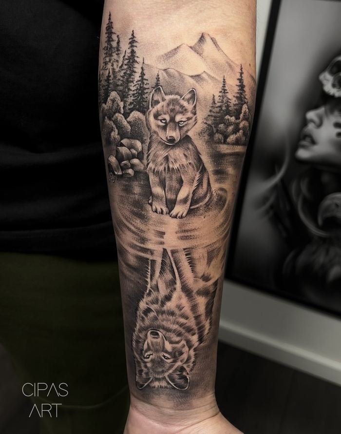 Wolf reflection, forearm