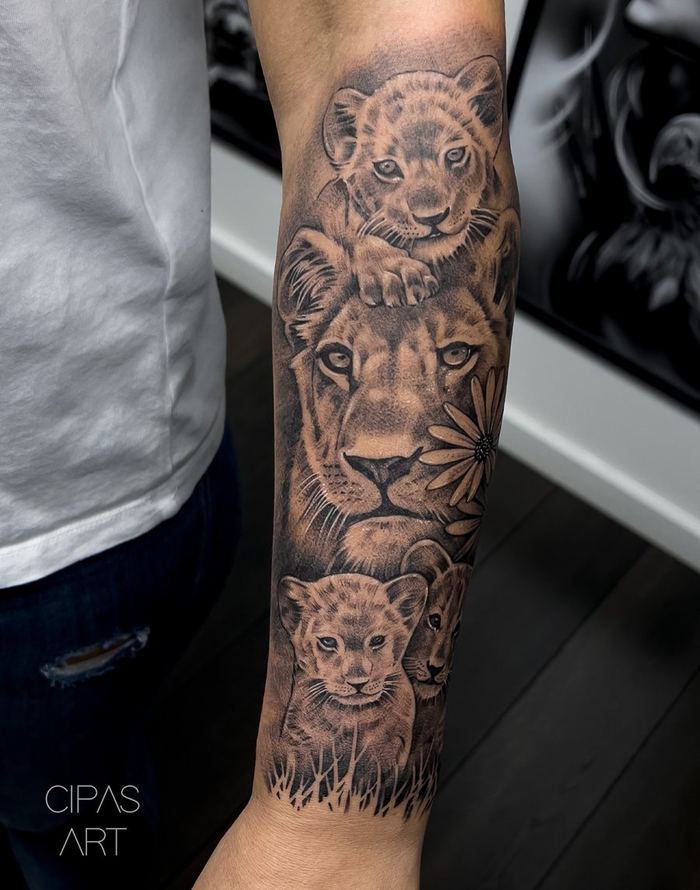 Lion family, forearm